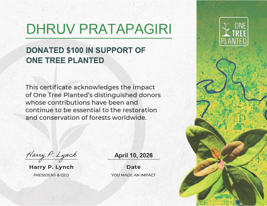 One Tree Planted — Certificate acknowledging Deep Roots donation of $100, April 10 2026