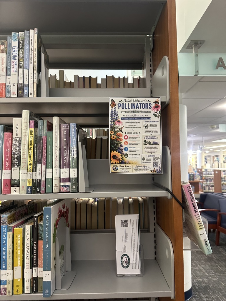 Deep Roots pollinator education display at Delaware library